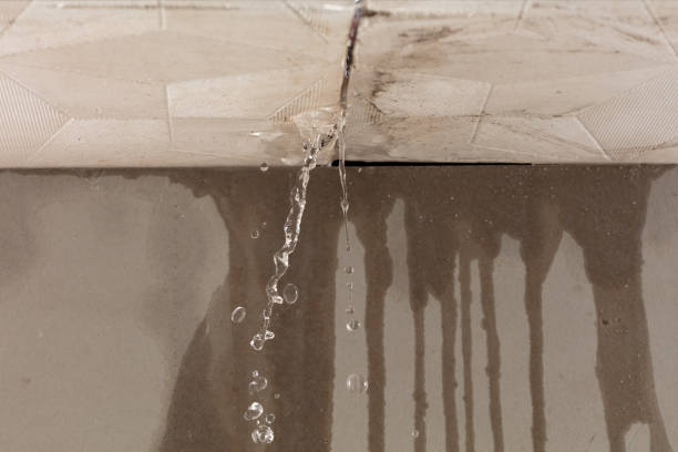 Professional Burst Pipe Cleanup technician working in Melbourne, KY